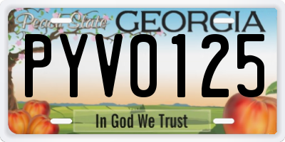GA license plate PYV0125