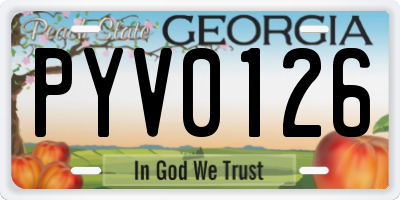 GA license plate PYV0126