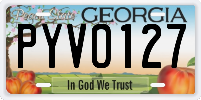 GA license plate PYV0127