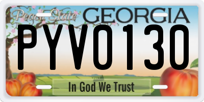 GA license plate PYV0130