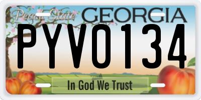 GA license plate PYV0134