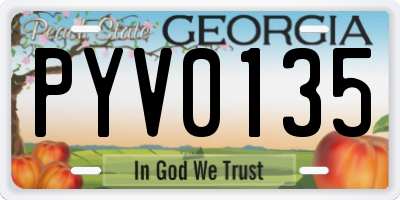 GA license plate PYV0135
