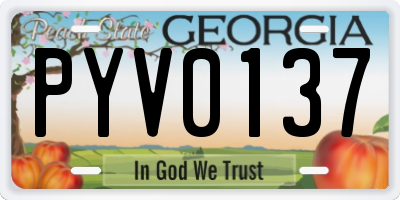 GA license plate PYV0137