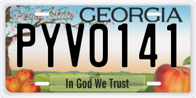 GA license plate PYV0141