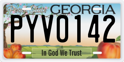 GA license plate PYV0142