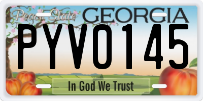 GA license plate PYV0145
