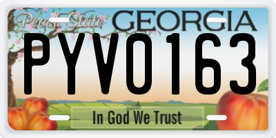 GA license plate PYV0163