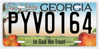 GA license plate PYV0164