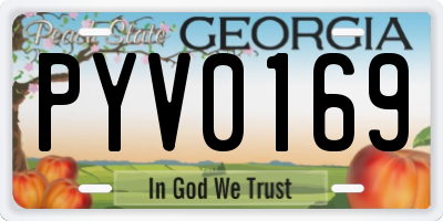 GA license plate PYV0169