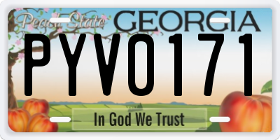 GA license plate PYV0171