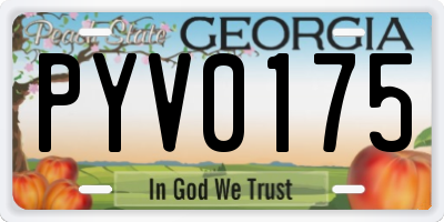 GA license plate PYV0175