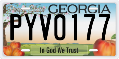 GA license plate PYV0177
