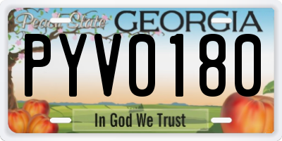 GA license plate PYV0180