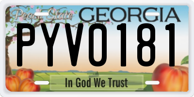 GA license plate PYV0181