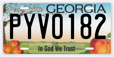 GA license plate PYV0182