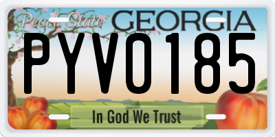 GA license plate PYV0185