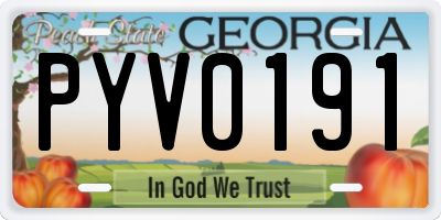 GA license plate PYV0191