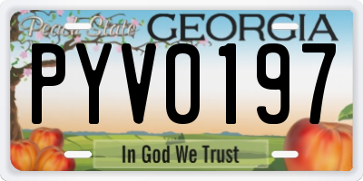 GA license plate PYV0197