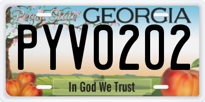 GA license plate PYV0202