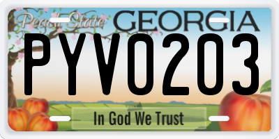 GA license plate PYV0203