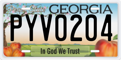 GA license plate PYV0204