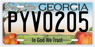 GA license plate PYV0205