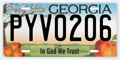 GA license plate PYV0206