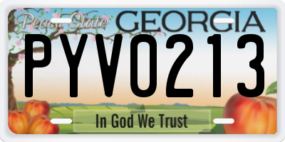 GA license plate PYV0213