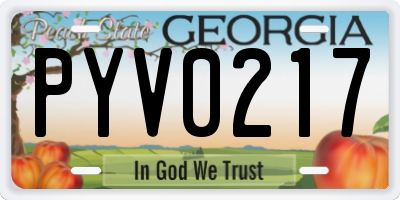 GA license plate PYV0217