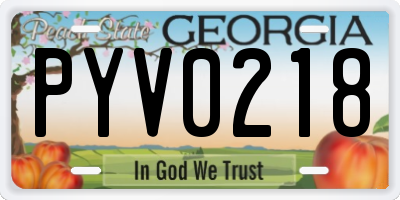 GA license plate PYV0218