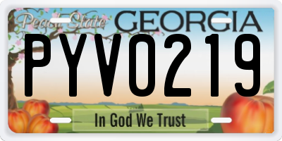 GA license plate PYV0219
