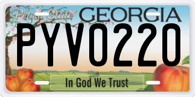 GA license plate PYV0220