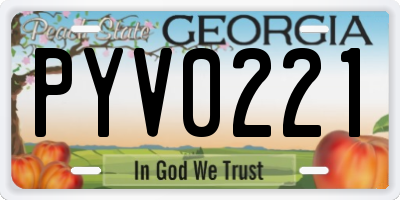 GA license plate PYV0221