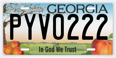 GA license plate PYV0222