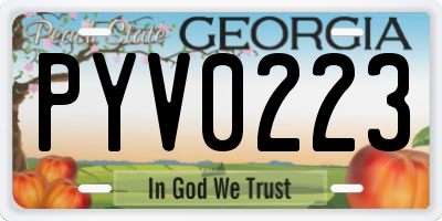 GA license plate PYV0223
