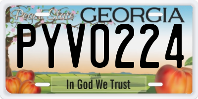 GA license plate PYV0224