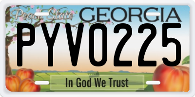 GA license plate PYV0225