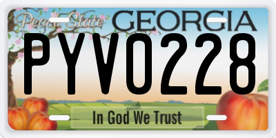 GA license plate PYV0228