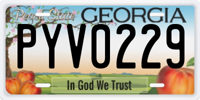 GA license plate PYV0229