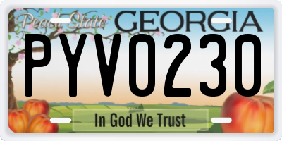 GA license plate PYV0230
