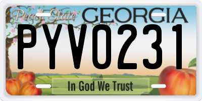 GA license plate PYV0231