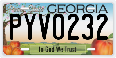 GA license plate PYV0232