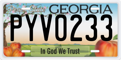 GA license plate PYV0233