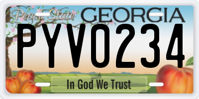 GA license plate PYV0234
