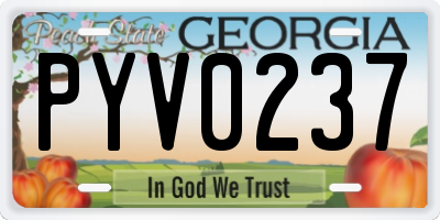 GA license plate PYV0237