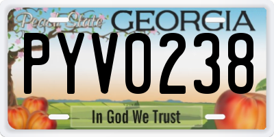 GA license plate PYV0238