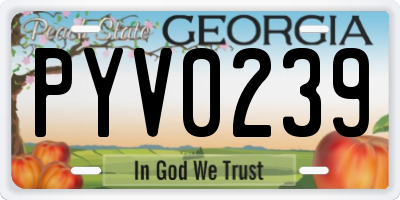 GA license plate PYV0239