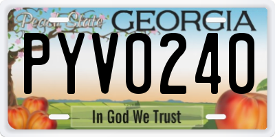 GA license plate PYV0240