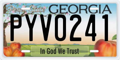 GA license plate PYV0241
