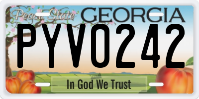 GA license plate PYV0242